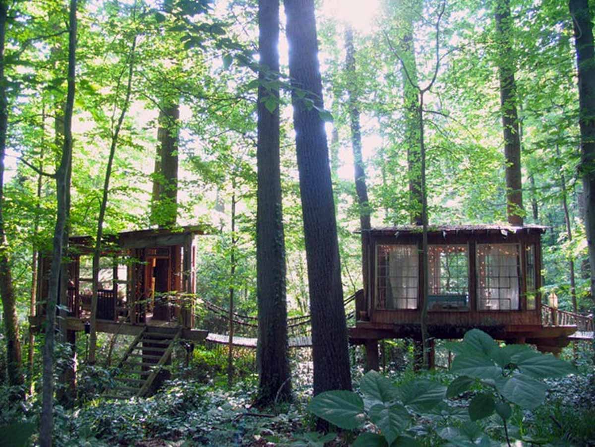 Atlanta TreeHouse