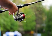 5 Best Saltwater Spinning Reel Under $100 Buying Guide 2020 Best Saltwater Spinning Reel Under $100