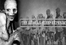 The Russian Sleep Experiment the russian sleep experiment