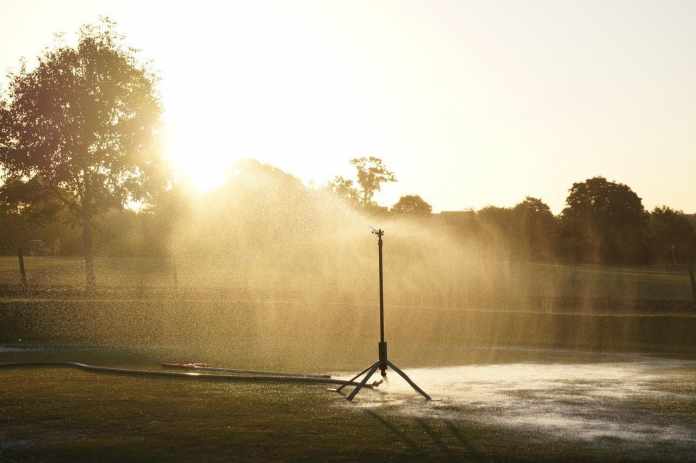 Adjust Rotary Sprinkler Heads