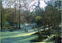 Why Garden Maintenance Needed in Winter Garden Maintenance Needed in Winter