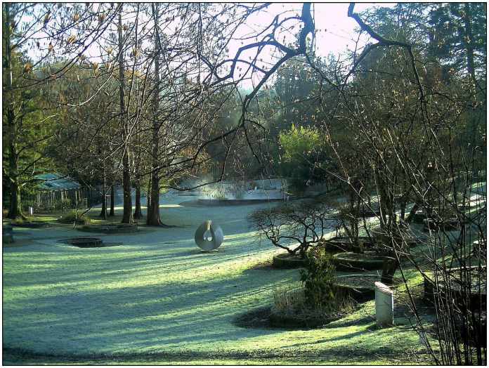 Garden Maintenance Needed in Winter