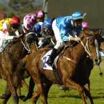 A Day Out Like No Other – Dos and Don’t for the Races. Dont for the Races
