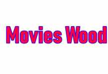 Movieswood: Top 40 Alternatives to Watch Telugu and Bollywood Films Movieswood