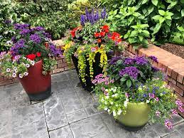 outdoor potted plants