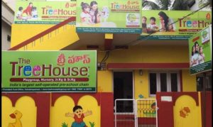 tree house play school franchise