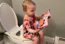 Super Potty Trainer Shark Tank: How to Help Your Child Master the Potty super potty trainer shark tank