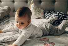 What Is the Best Formula for a 6-Month-Old Baby? the Best Formula