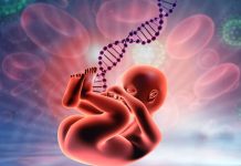 Before Birth: Fetal Conditions That Can Be Detected With Genetic Testing