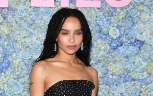 Zoë Kravitz Net Worth