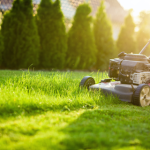 6 Tips for Mowing Like a Pro in 2023