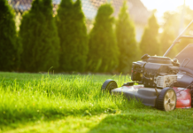 6 Tips for Mowing Like a Pro in 2023