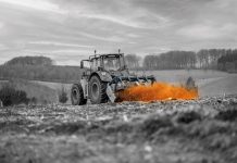 Get the Most Out of Your Crops with Expert Soil Conditioning Strategies