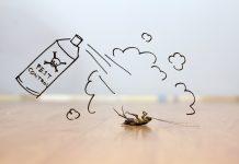 8 Common Pest Control Mistakes at Home and How to Avoid Them