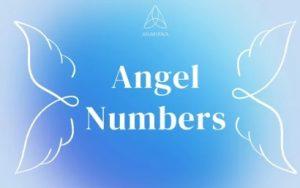 Calculate Angel Number