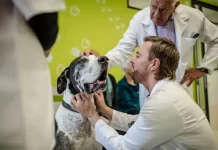 Brian Kersten Discusses Community Outreach and Education: Empowering Low-Income Pet Owners for Better Pet Health