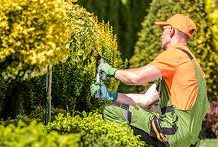 Cyber Insurance for Landscaping and Horticulture Companies